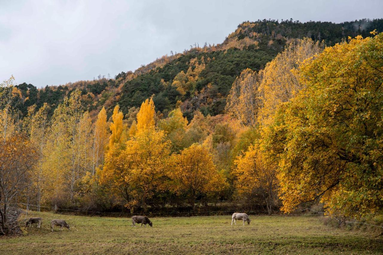 Casa Rural Besoli Areu Dış mekan fotoğraf
